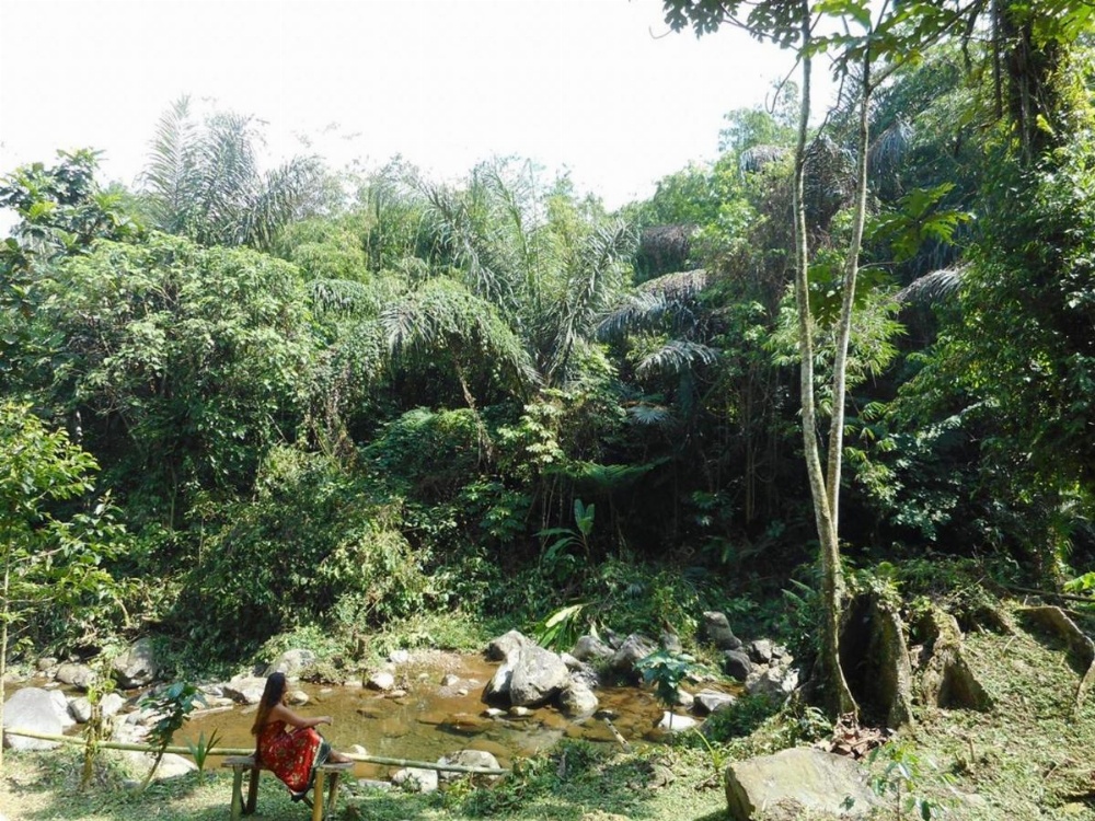 Tegal Jero Homestay Image 10