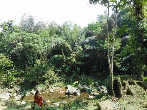 Tegal Jero Homestay image 10