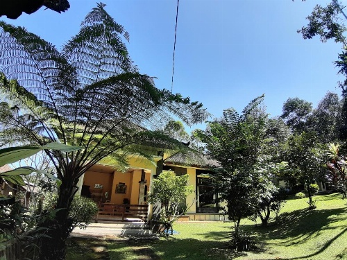 Tegal Jero Homestay image 14
