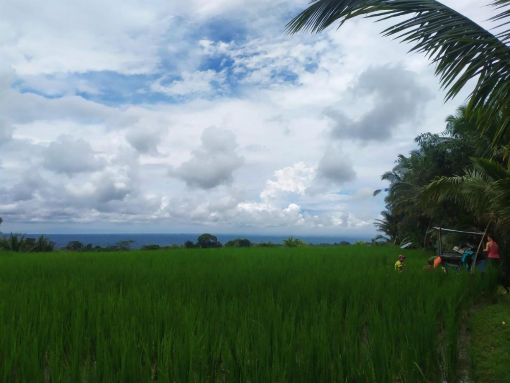 Tegal Jero Homestay Image 32