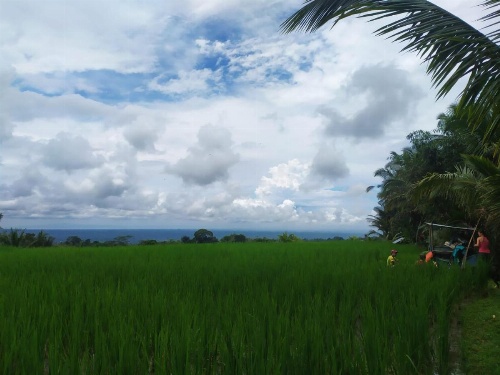 Tegal Jero Homestay image 32