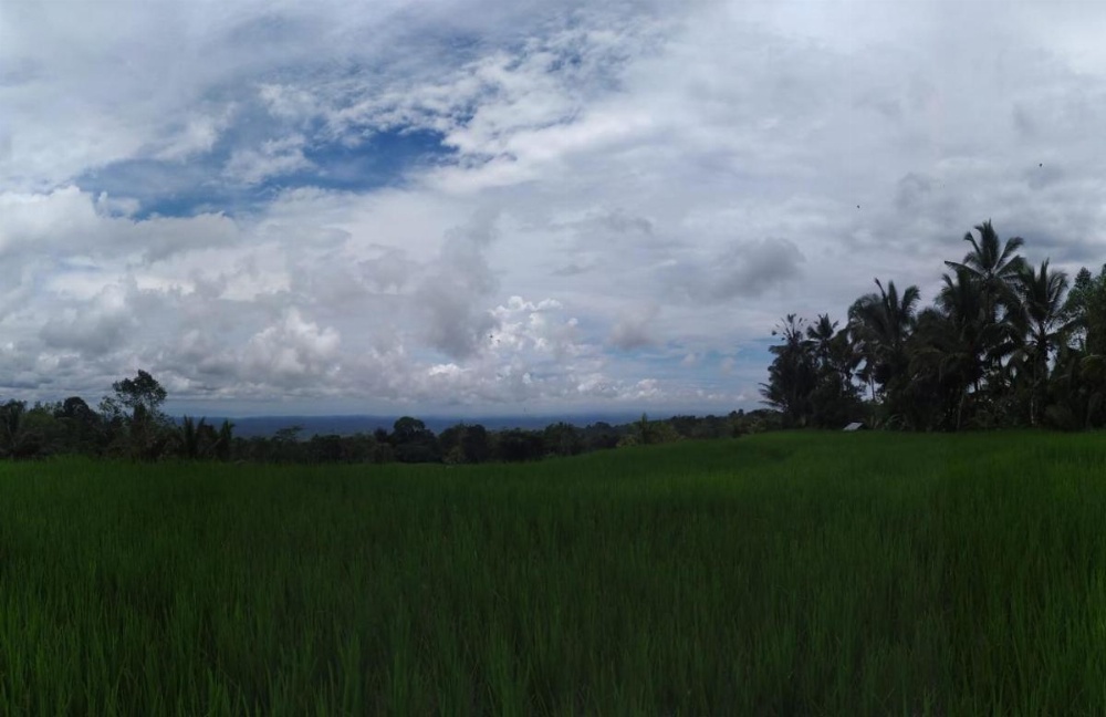Tegal Jero Homestay Image 33