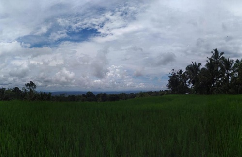 Tegal Jero Homestay image 33