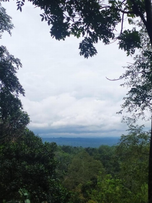 Tegal Jero Homestay image 34