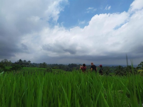 Tegal Jero Homestay image 36
