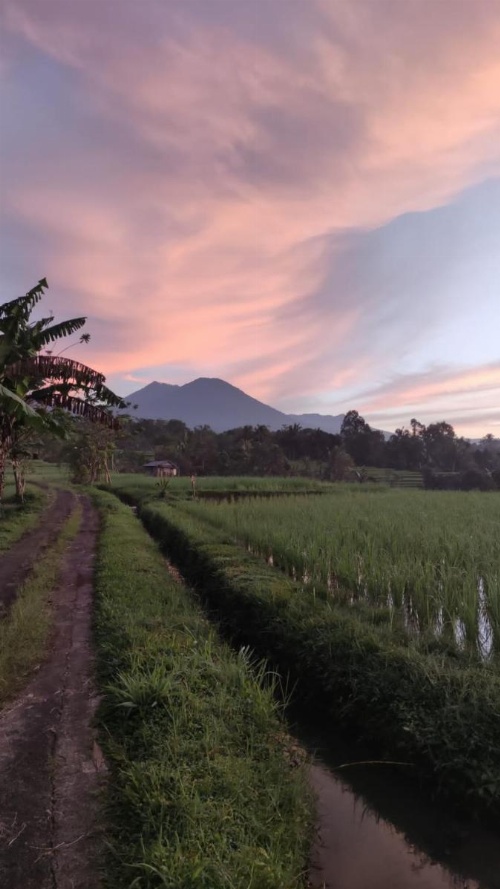 Tegal Jero Homestay image 39