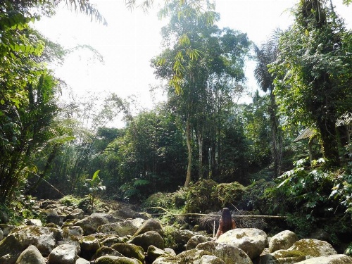 Tegal Jero Homestay image 5